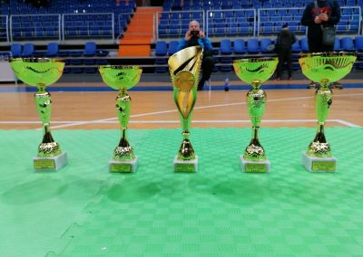 Kup Srbije za kadete i seniore u olimpijskim kategorijama